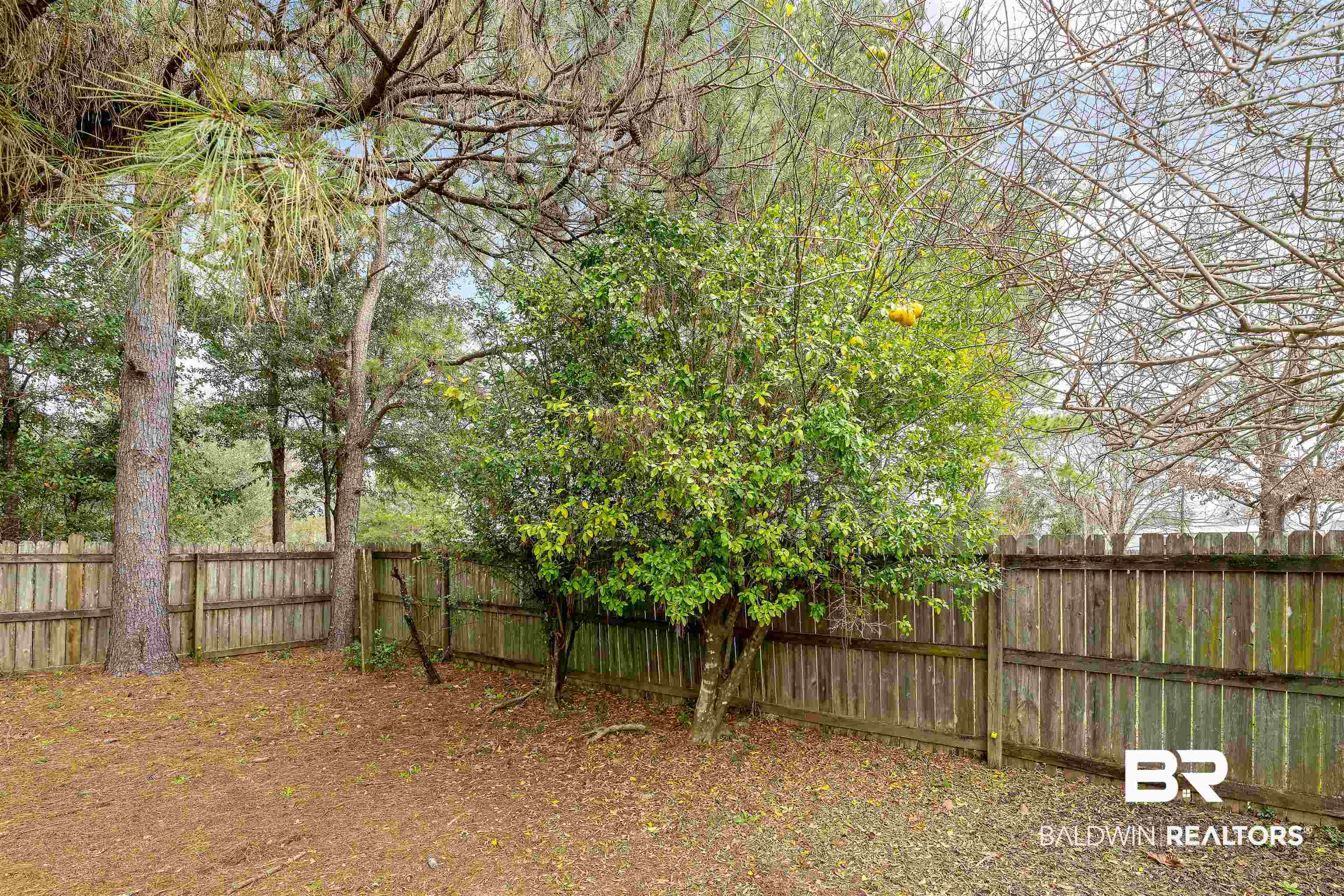 23211 Cornerstone Drive Loxley, AL 36551 - Photo 21 of 39