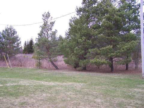 2366 North McKinley Road Flushing, MI 48433 - Photo 23 of 36 20397457-22.JPG