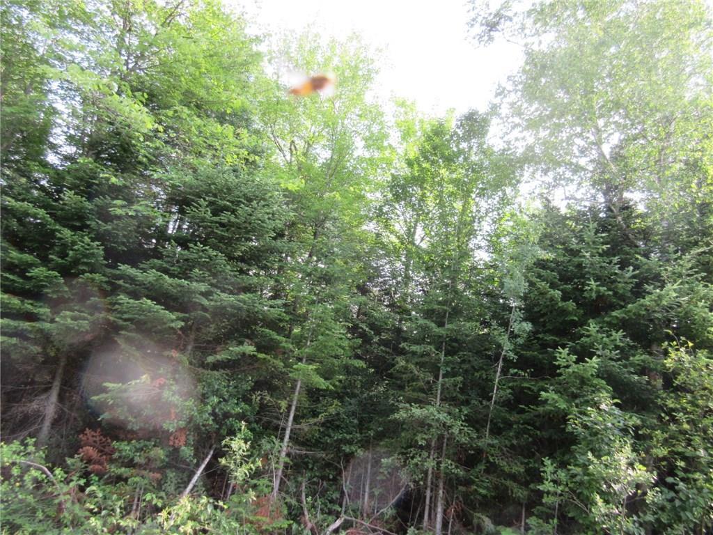 Lot 5 West Road Shirley Mills, ME 04485 - Photo 4 of 5 Photo