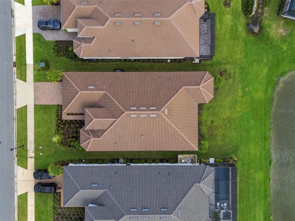 29596 Toricelli Road Wesley Chapel, FL 33543 - Photo 61 of 98 Gallery Image 61