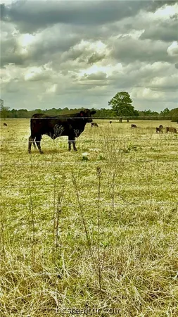 $1,278,900 | 2620 St Bedias Tx 77831, Bedias, TX 77831