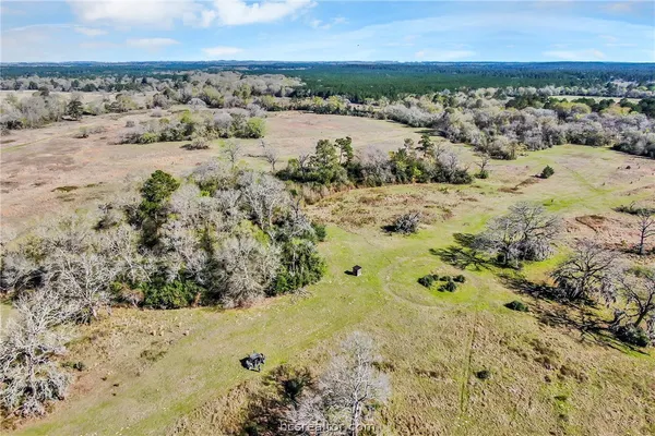 $1,278,900 | 2620 St Bedias Tx 77831, Bedias, TX 77831