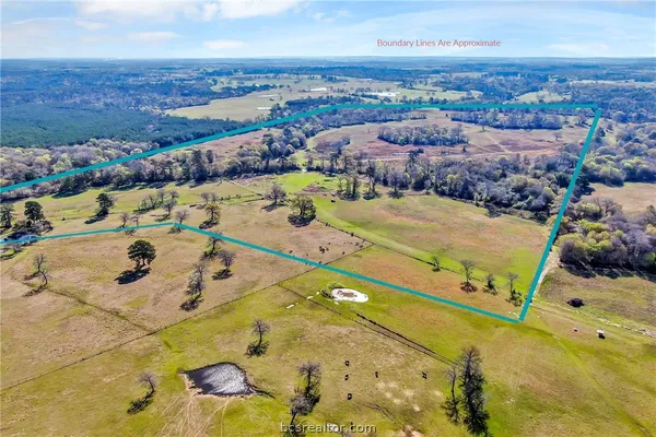 $1,278,900 | 2620 St Bedias Tx 77831, Bedias, TX 77831