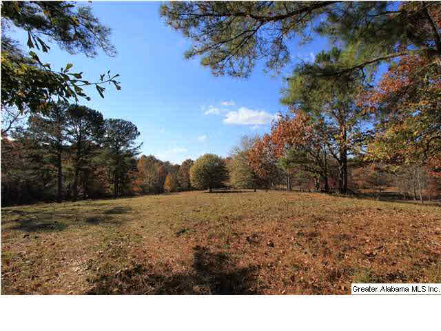 1019 County Road 233 Fruithurst, AL 36262 - Photo 14 of 32
