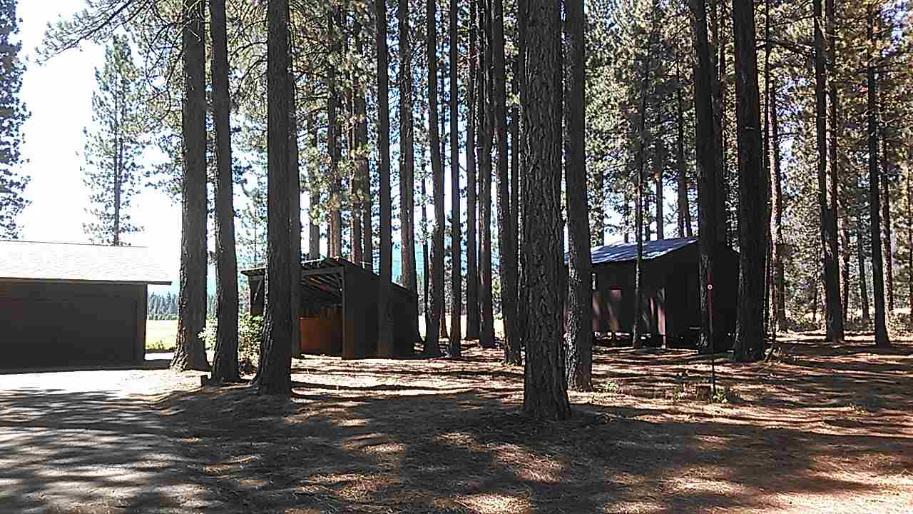221 Meadow Ranch Road Calpine, CA 96124 - Photo 4 of 20
