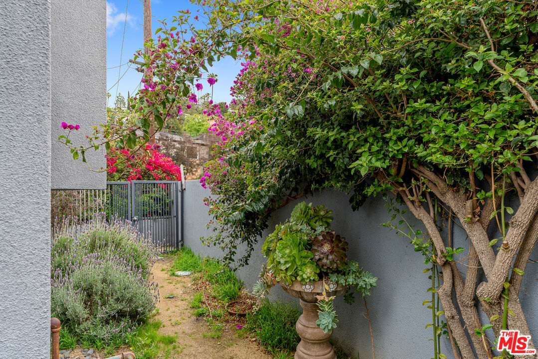 2131 Griffith Park Boulevard Los Angeles, CA 90039 - Photo 18 of 42 a picture of flowers