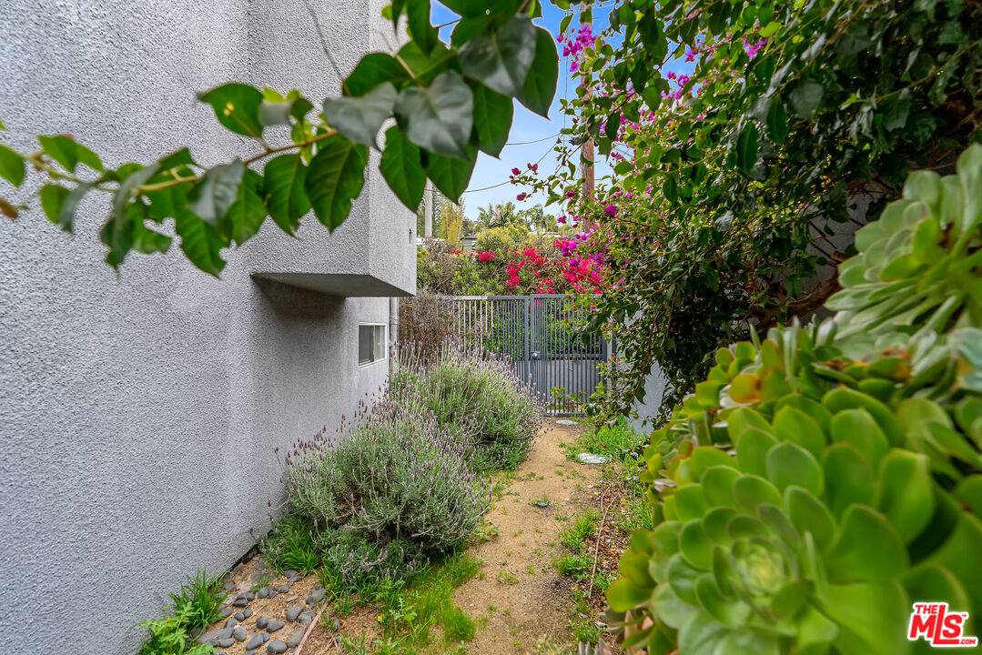 2131 Griffith Park Boulevard Los Angeles, CA 90039 - Photo 19 of 42 a flower view