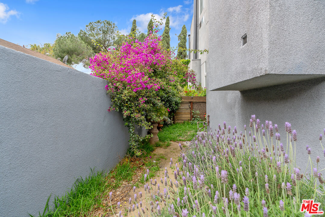 2131 Griffith Park Boulevard Los Angeles, CA 90039 - Photo 20 of 42 a view of a bunch of flowers