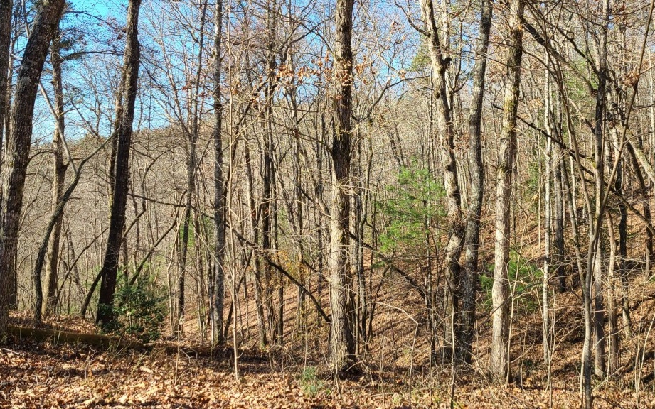 217 Boulder Crk Road Murphy, NC 28906 - Photo 3 of 4 Additional View