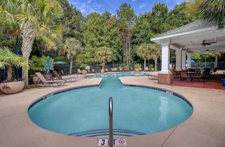 309 Tidal Rice Court Wando, SC 29492 - Photo 42 of 43 pool