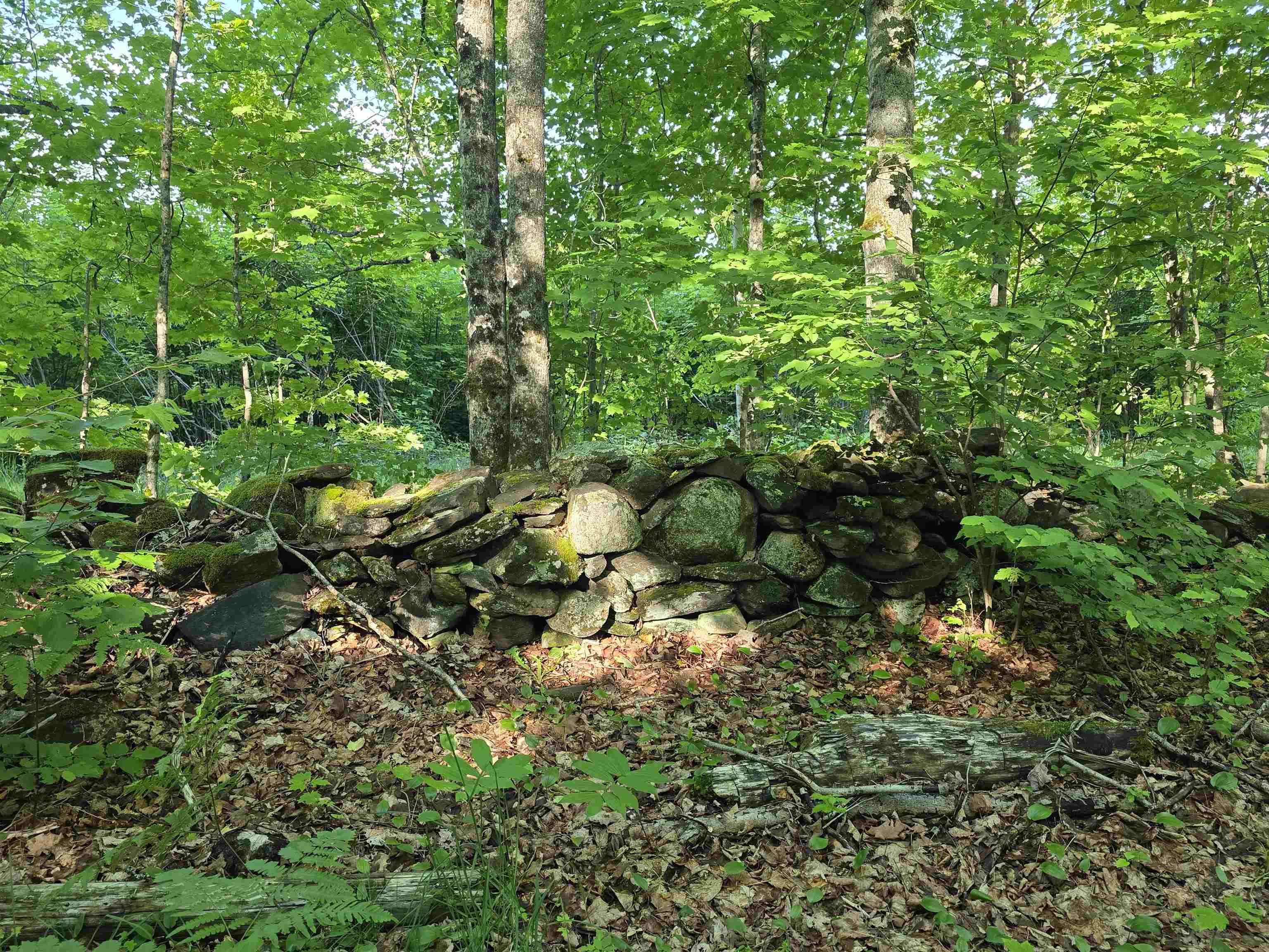 2001 Keiser Pond Road West Danville, VT 05873 - Photo 7 of 24