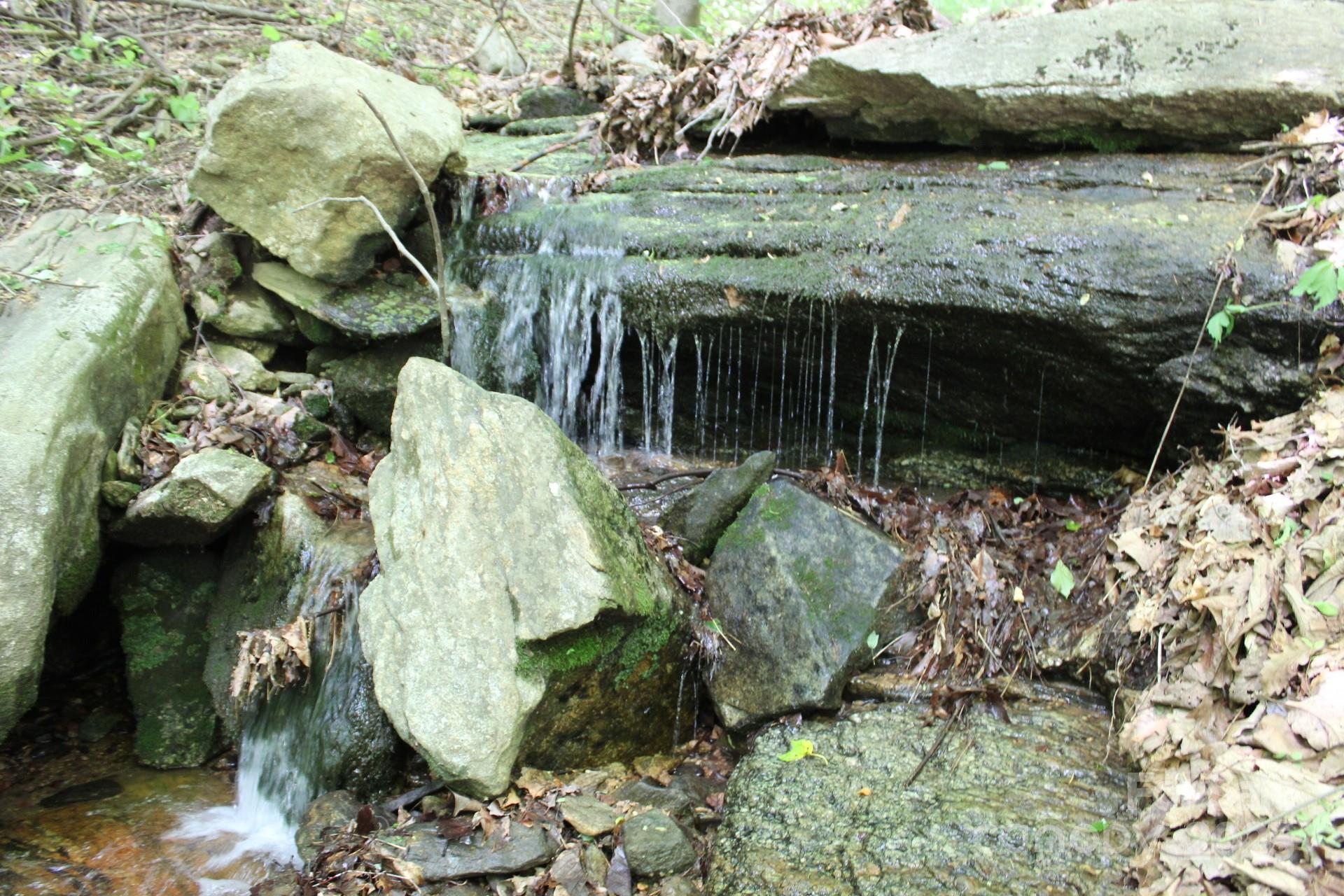 985 Roberson School Road Moravian Falls, NC 28654 - Photo 12 of 48