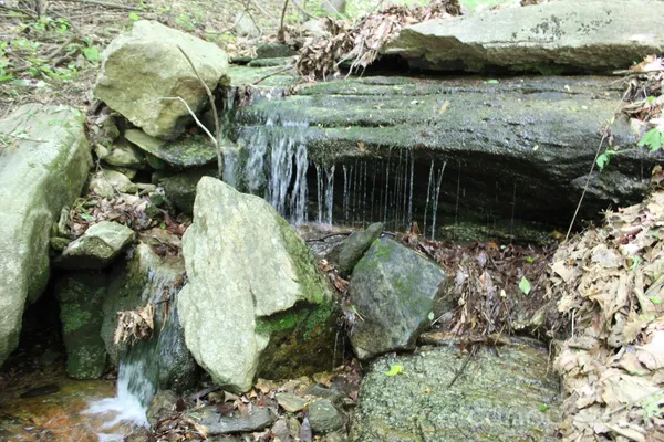 $647,500 | 985 Roberson School Road, Moravian Falls, NC 28654