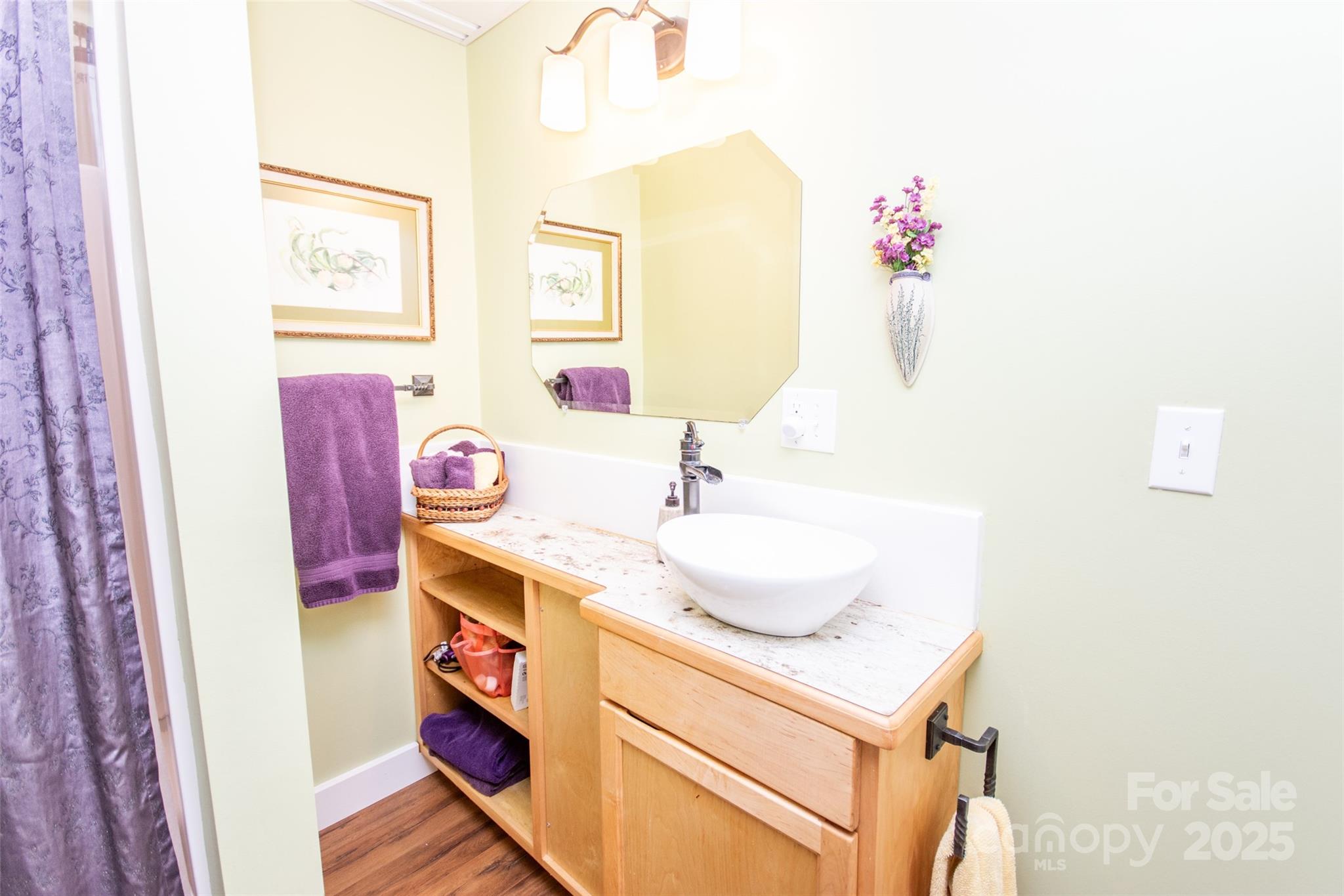 985 Roberson School Road Moravian Falls, NC 28654 - Photo 34 of 48 a bathroom with a sink and a mirror