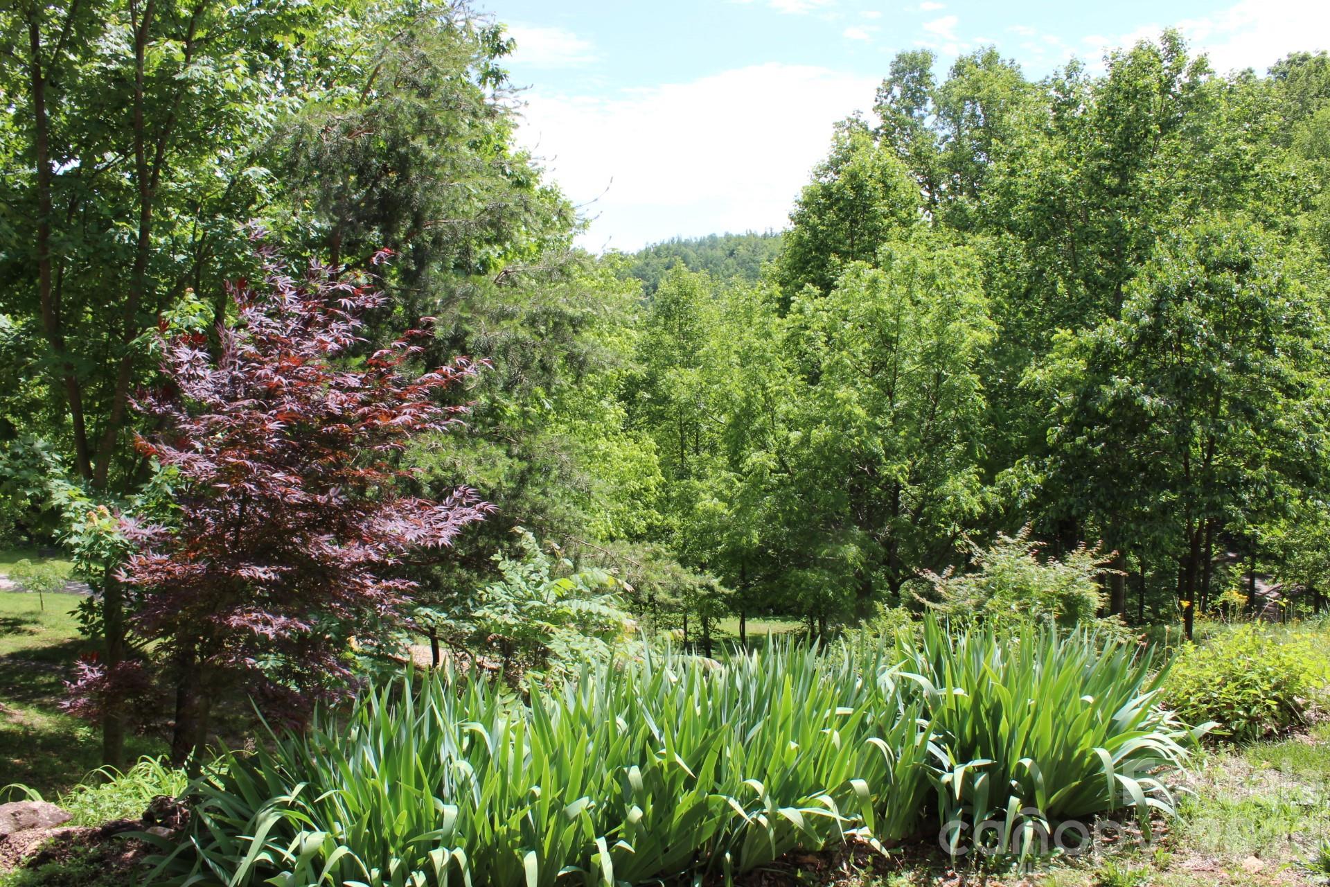 985 Roberson School Road Moravian Falls, NC 28654 - Photo 40 of 48