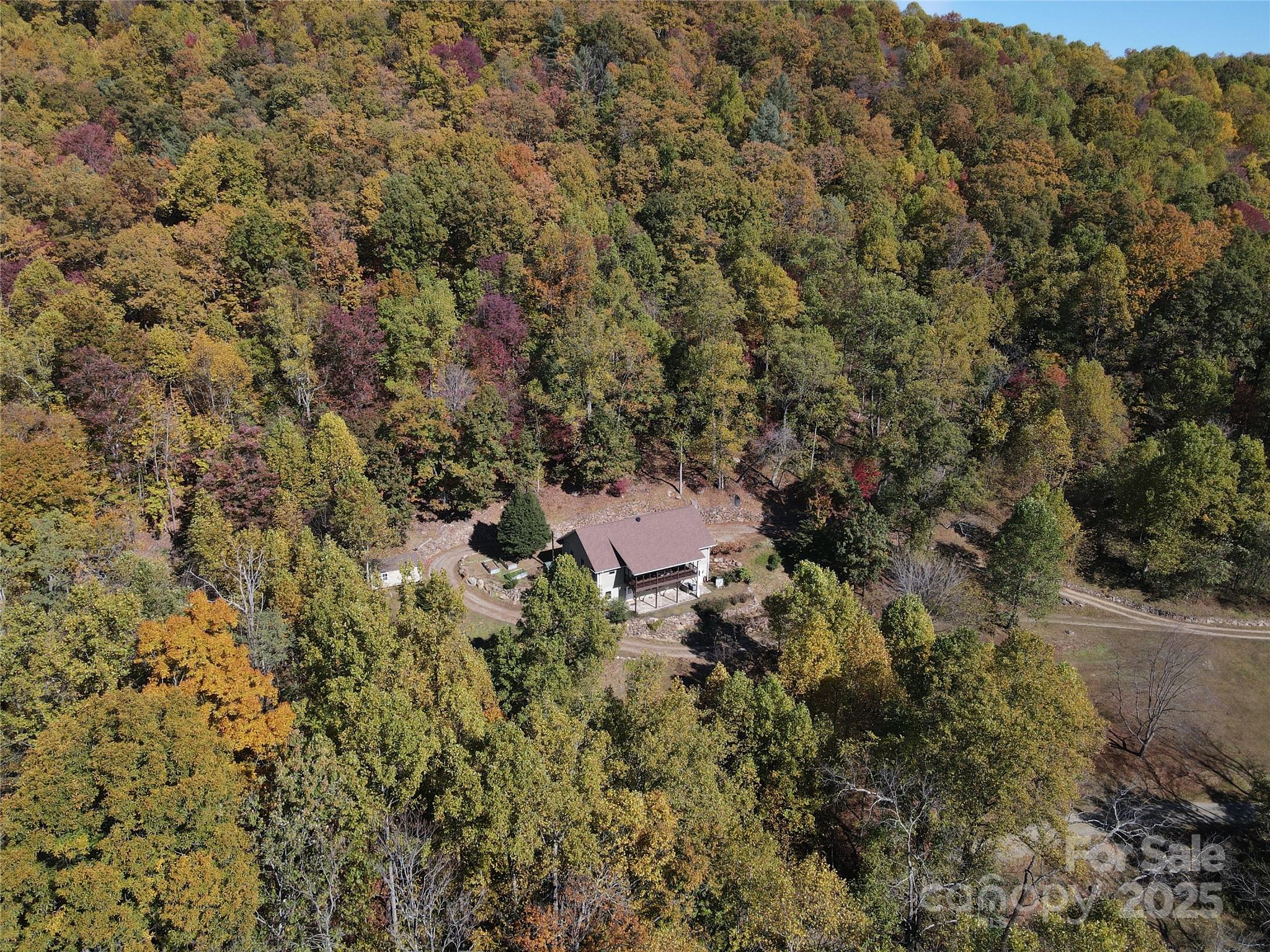 985 Roberson School Road Moravian Falls, NC 28654 - Photo 5 of 48 a view of a forest with a house