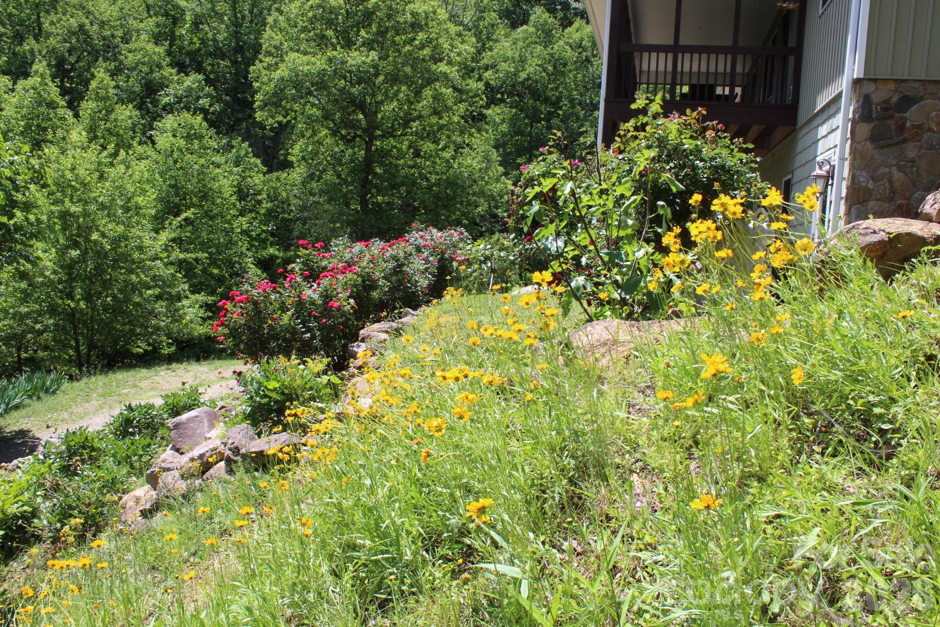 985 Roberson School Road Moravian Falls, NC 28654 - Photo 7 of 48