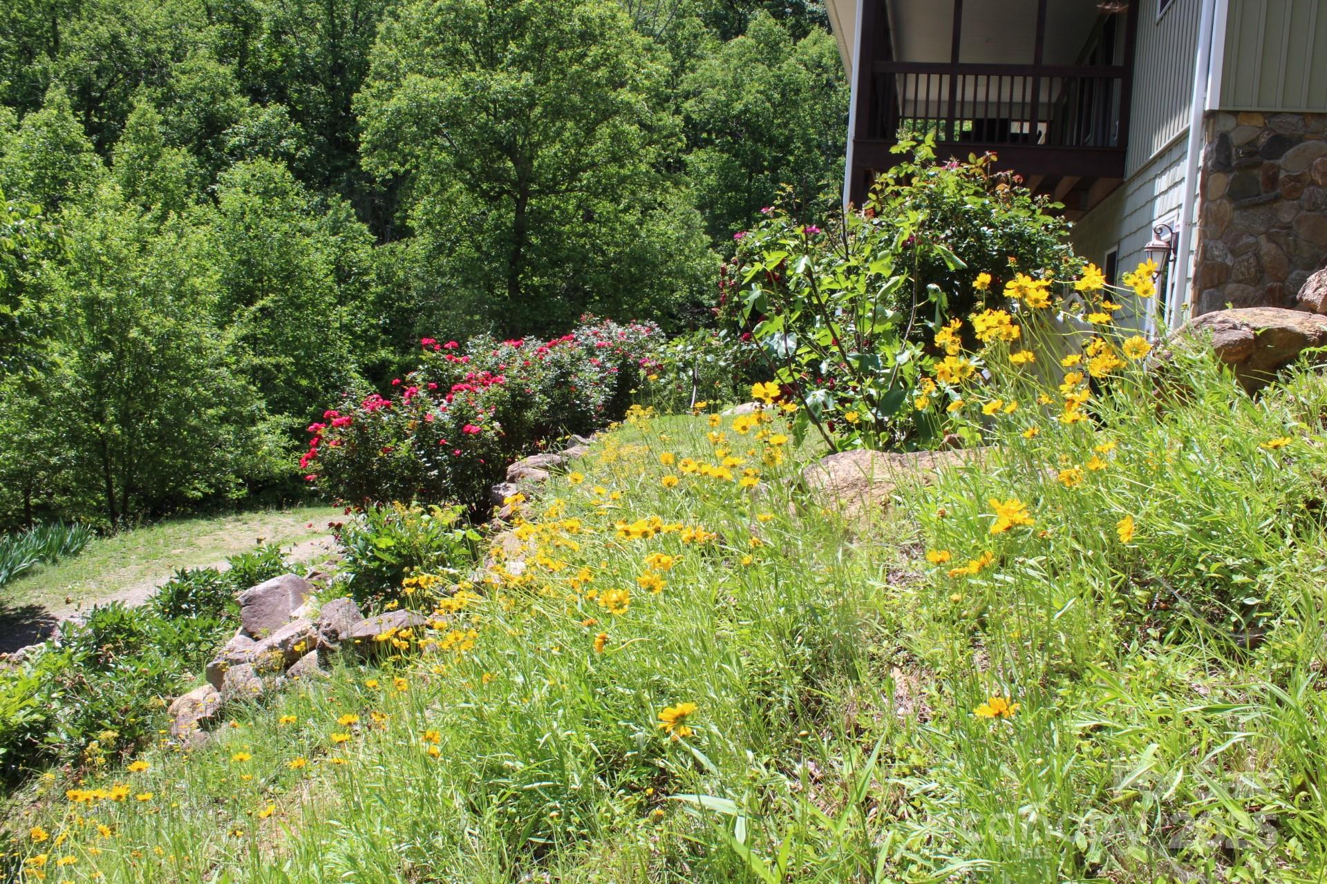 985 Roberson School Road Moravian Falls, NC 28654 - Photo 7 of 48 a view of a garden with plants and flowers