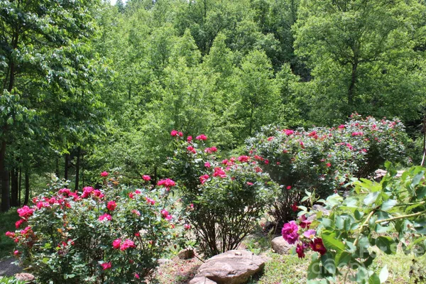 $647,500 | 985 Roberson School Road, Moravian Falls, NC 28654