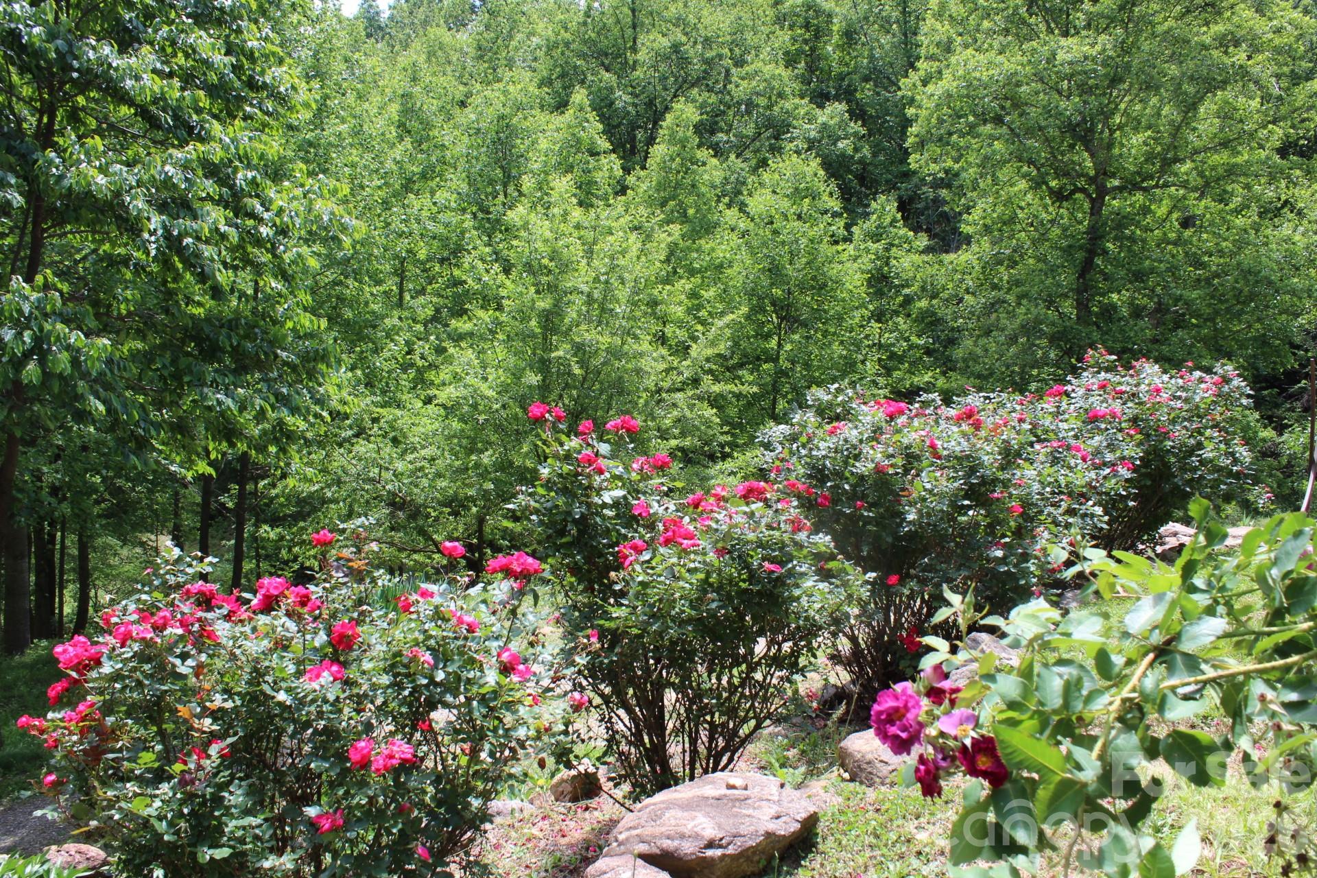 985 Roberson School Road Moravian Falls, NC 28654 - Photo 8 of 48