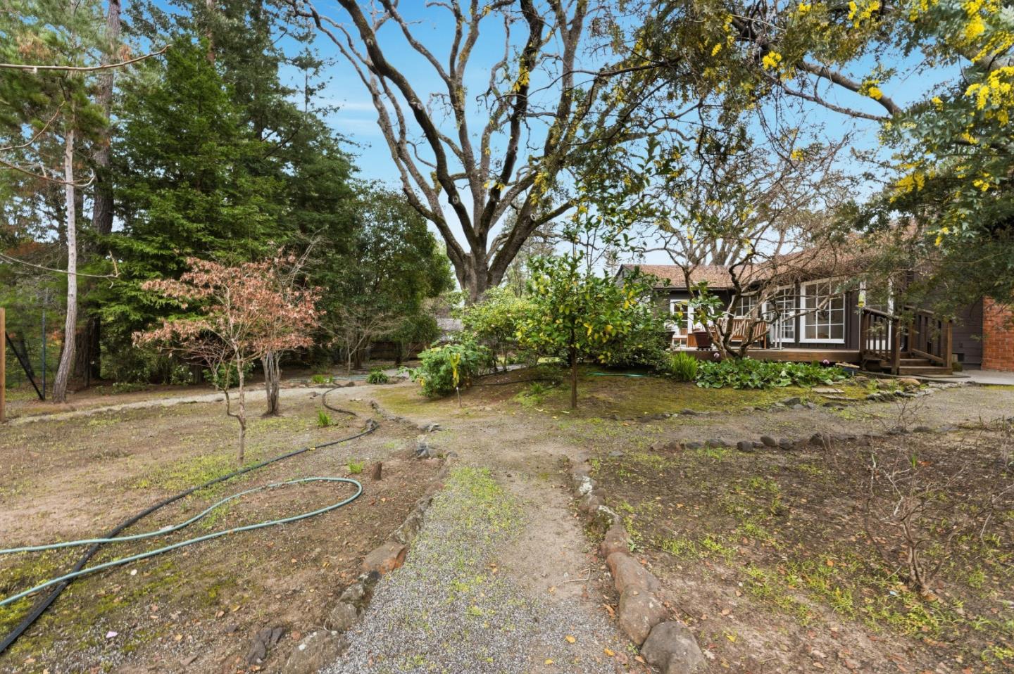 1698 Cordilleras Road Redwood City, CA 94062 - Photo 35 of 44 a view of yard with trees