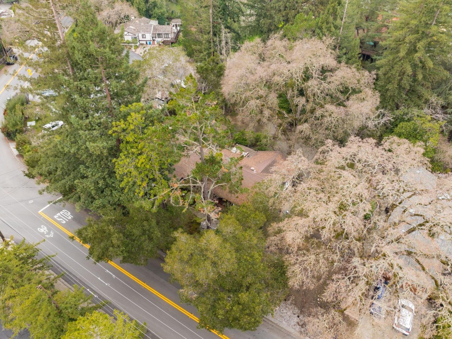 1698 Cordilleras Road Redwood City, CA 94062 - Photo 41 of 44 a view of a yard