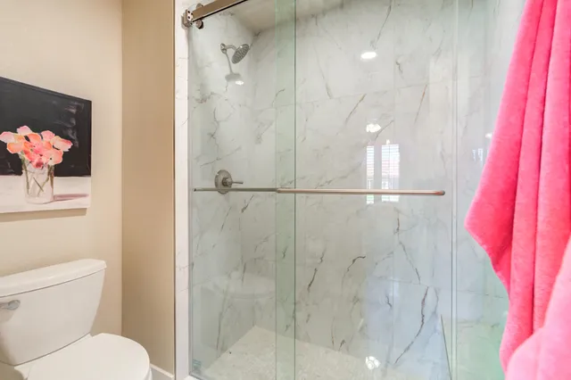 a bathroom with a shower and a toilet