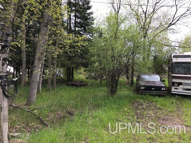 333 Carpenter Road Crystal Falls, MI 49920 - Photo 2 of 6