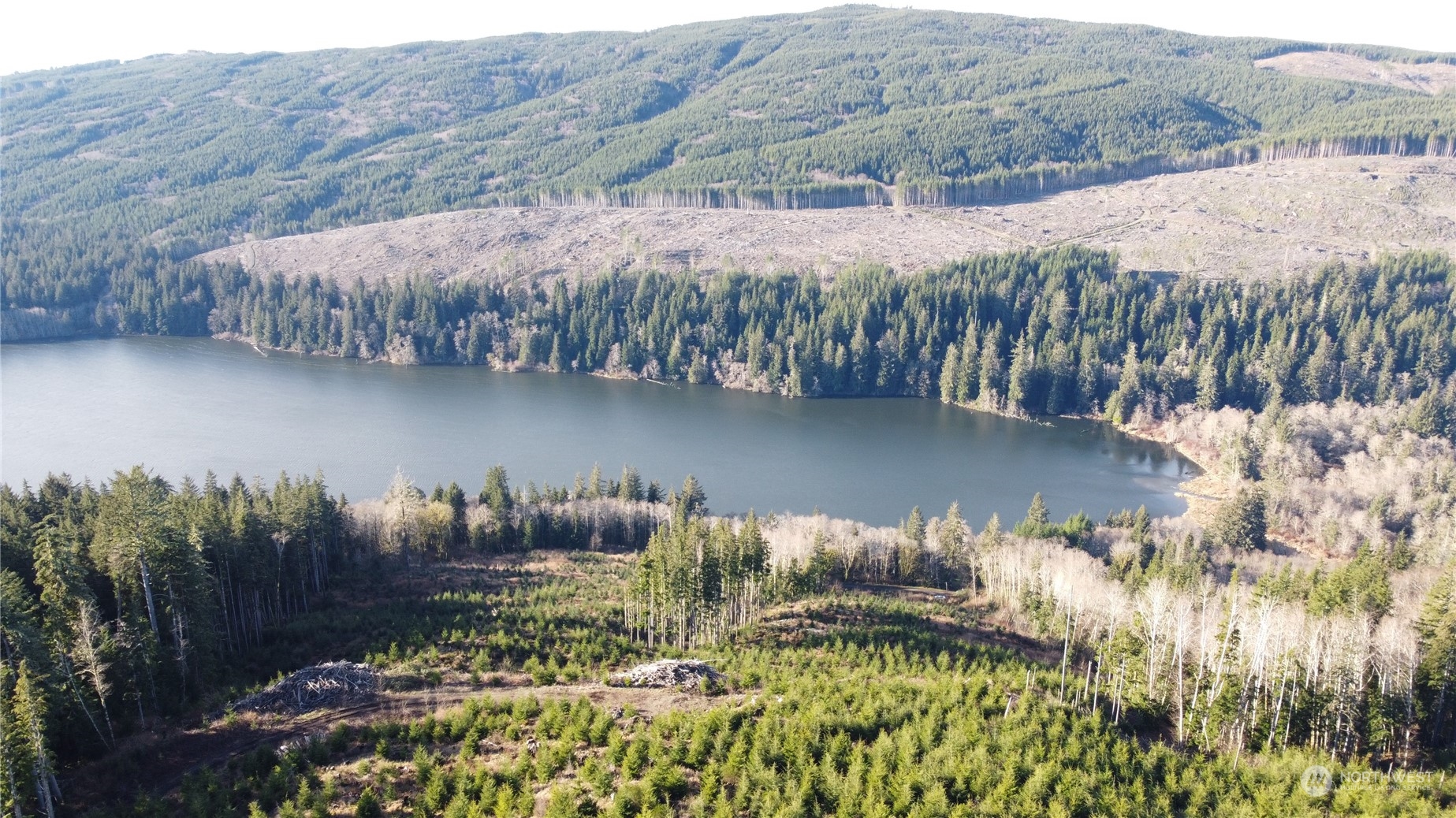 0 East Lake Pleasant Road Beaver, WA 98305 - Photo 1 of 16 a view of a lake with a mountain in the background