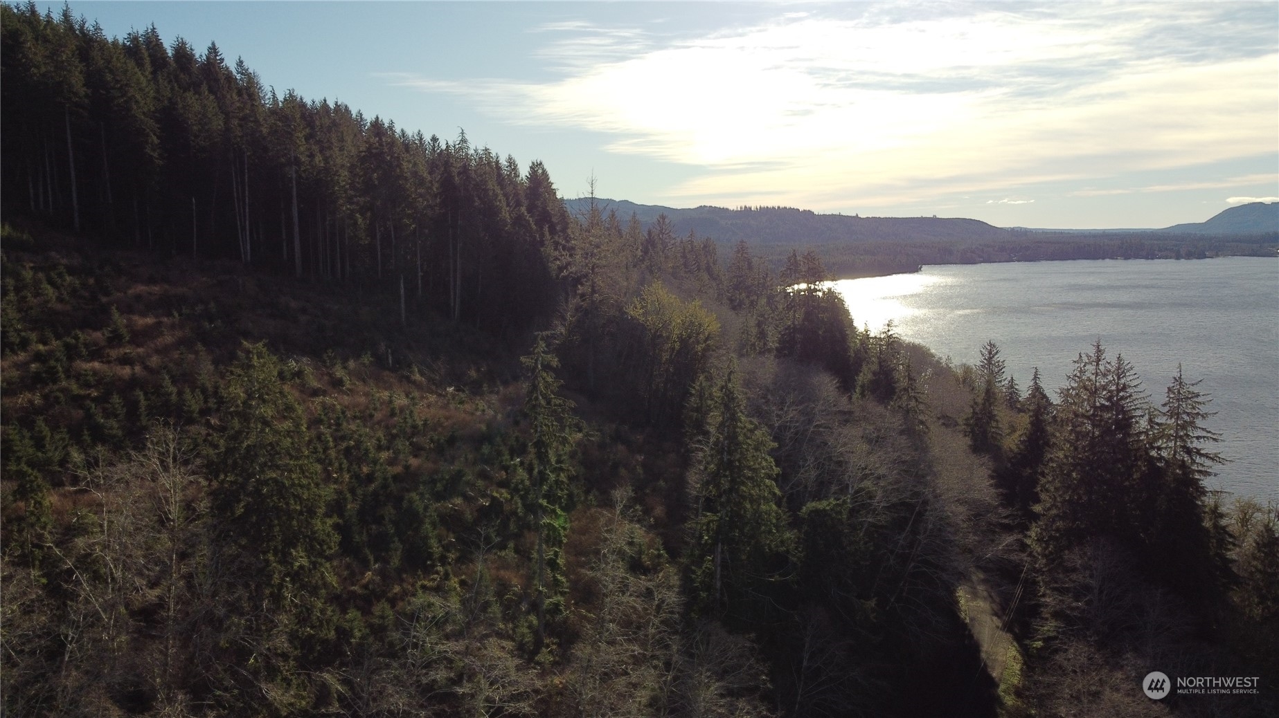 0 East Lake Pleasant Road Beaver, WA 98305 - Photo 11 of 16 a view of a lake in middle of forest