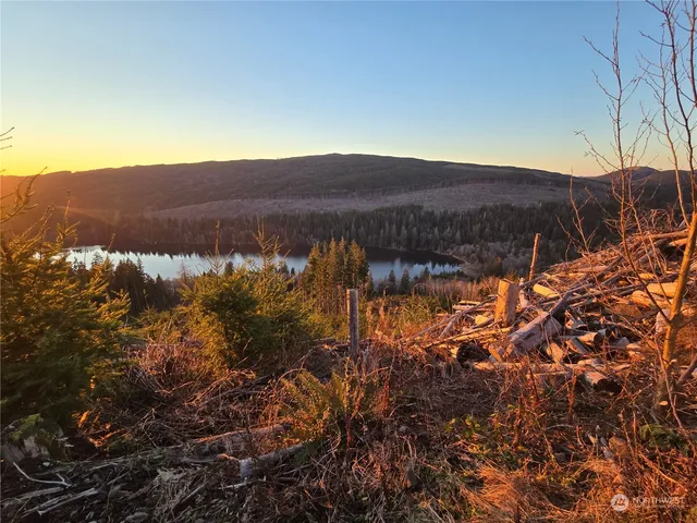 $180,000 | 0 East Lake Pleasant Road, Beaver, WA 98305