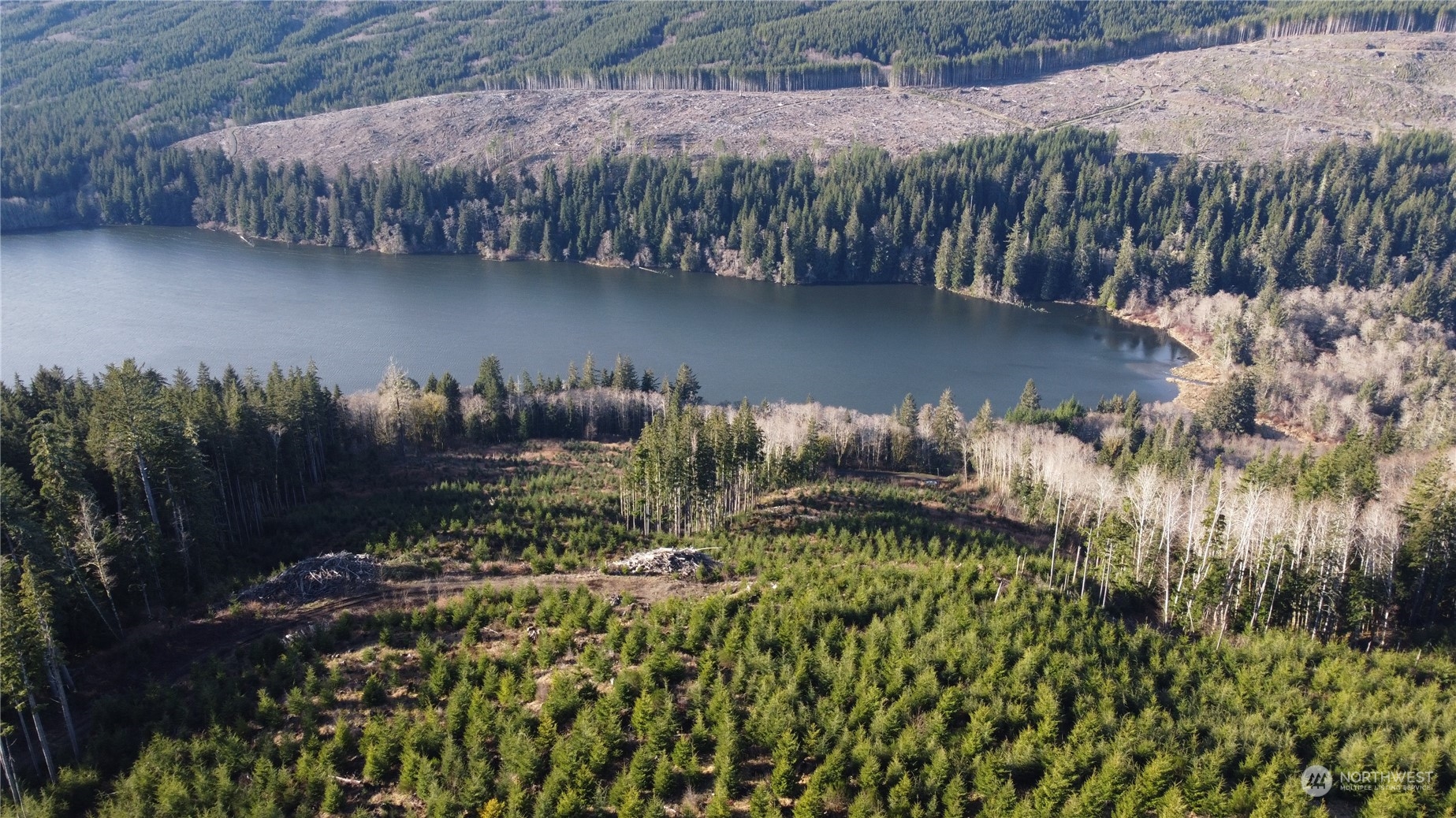 0 East Lake Pleasant Road Beaver, WA 98305 - Photo 5 of 16 a view of a lake with a yard