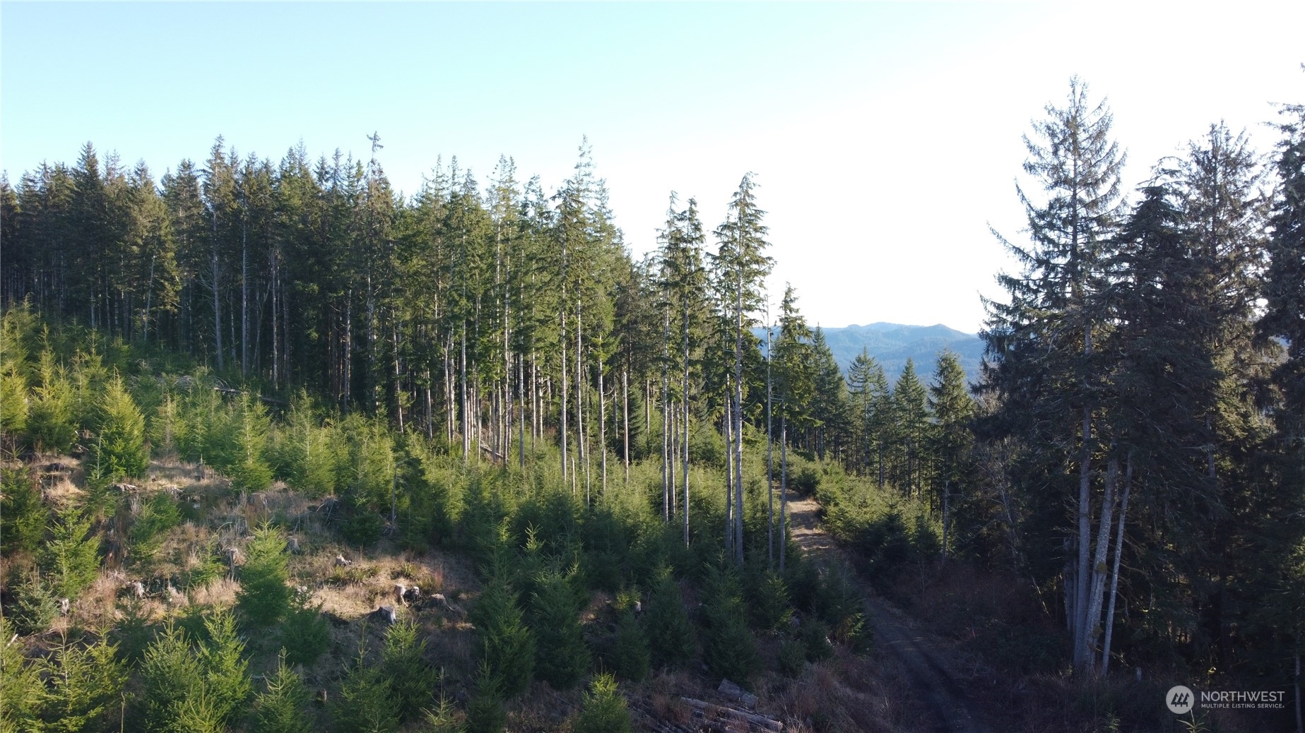 0 East Lake Pleasant Road Beaver, WA 98305 - Photo 6 of 16 a view of river covered by trees and sunset