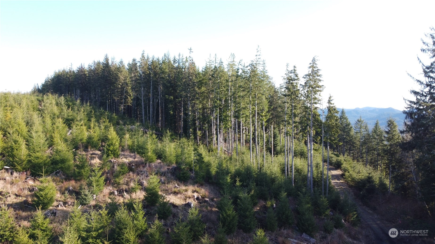 0 East Lake Pleasant Road Beaver, WA 98305 - Photo 7 of 16 a view of a lush green space