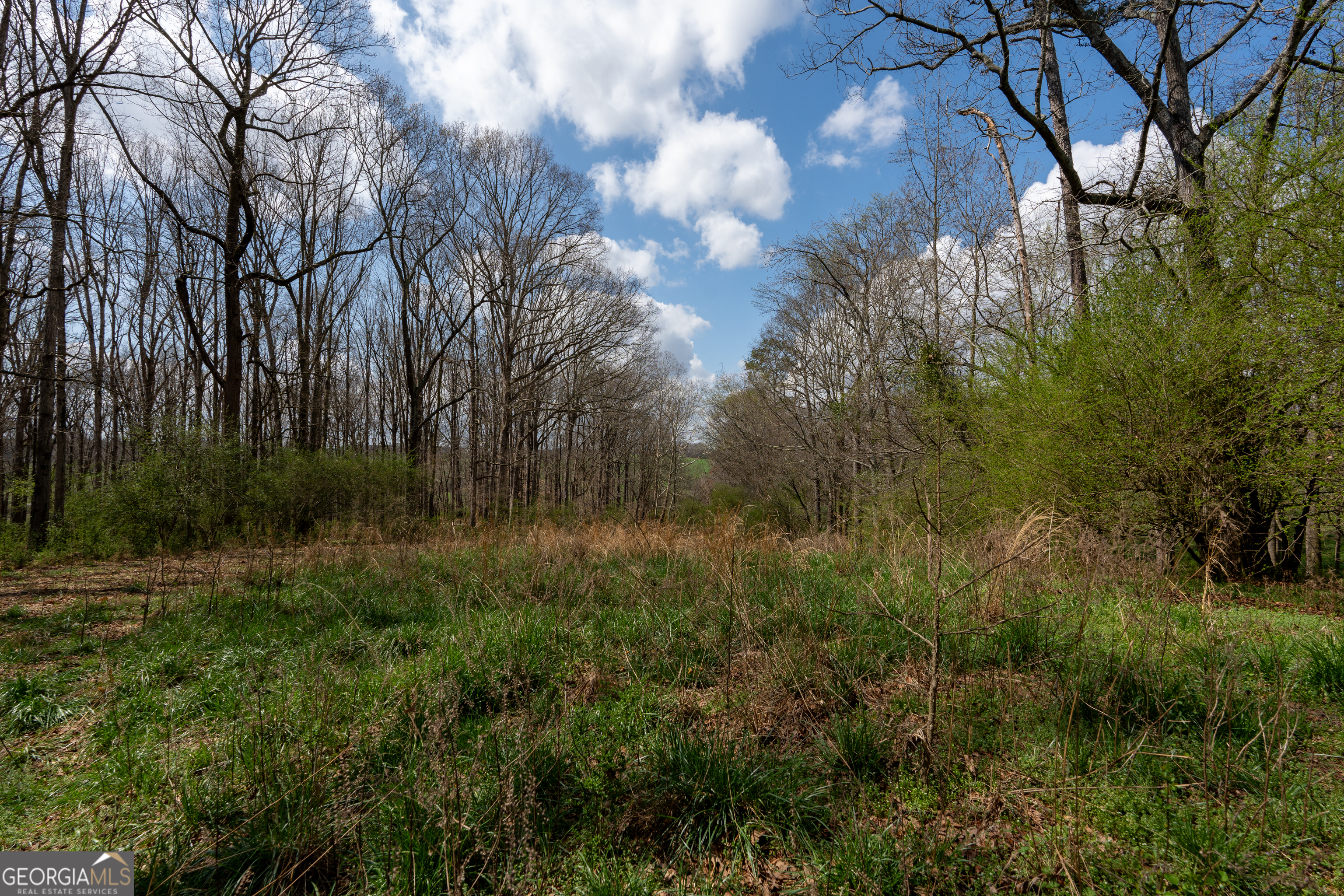 13 West L Williams Commerce, GA 30530 - Photo 11 of 44