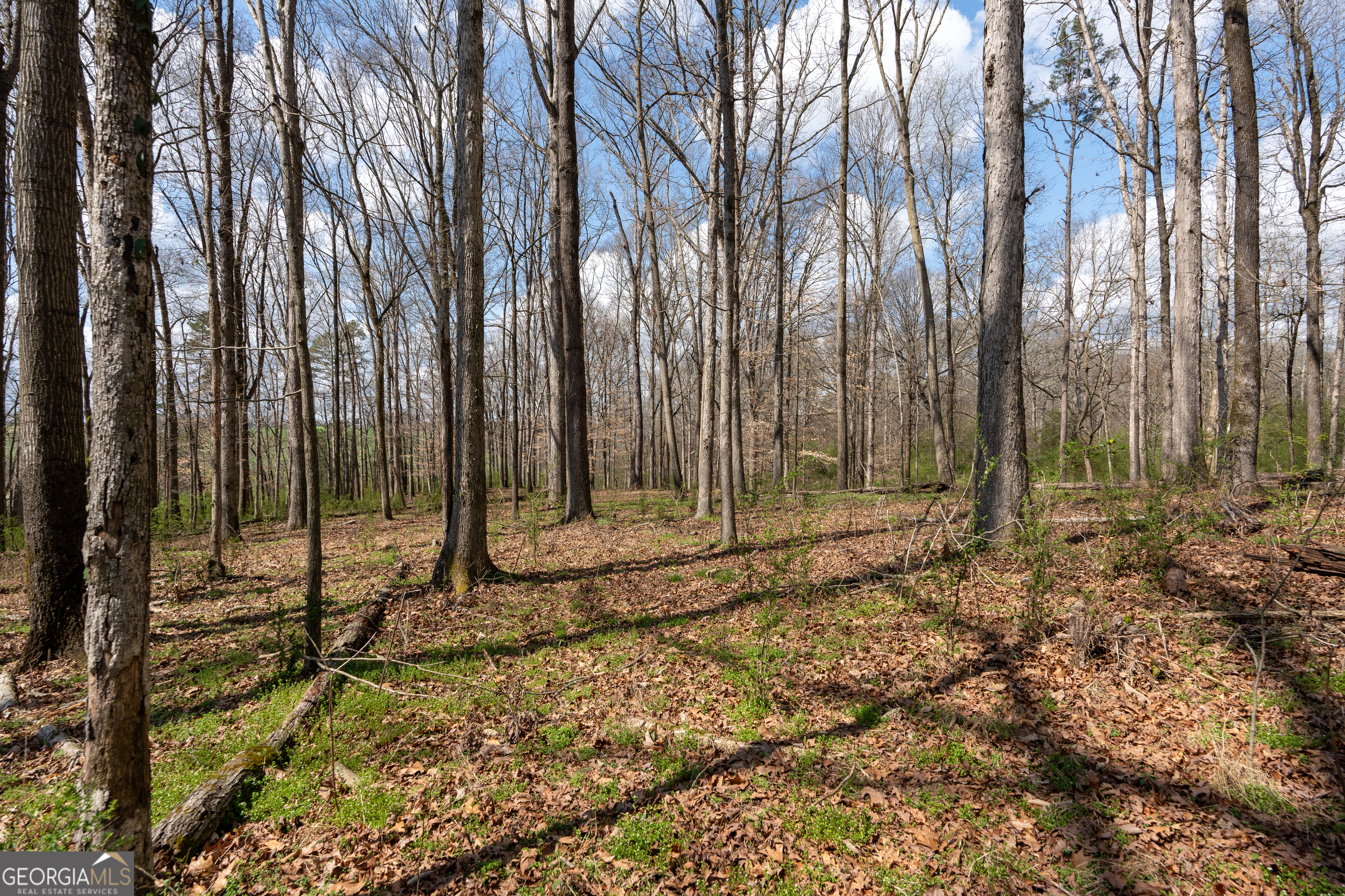 13 West L Williams Commerce, GA 30530 - Photo 15 of 44