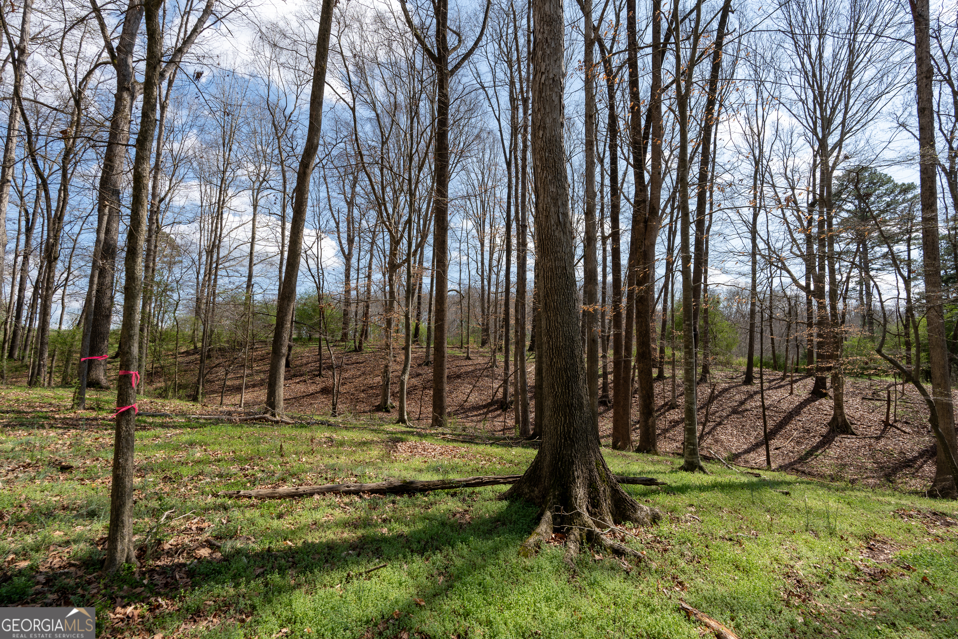 13 West L Williams Commerce, GA 30530 - Photo 20 of 44