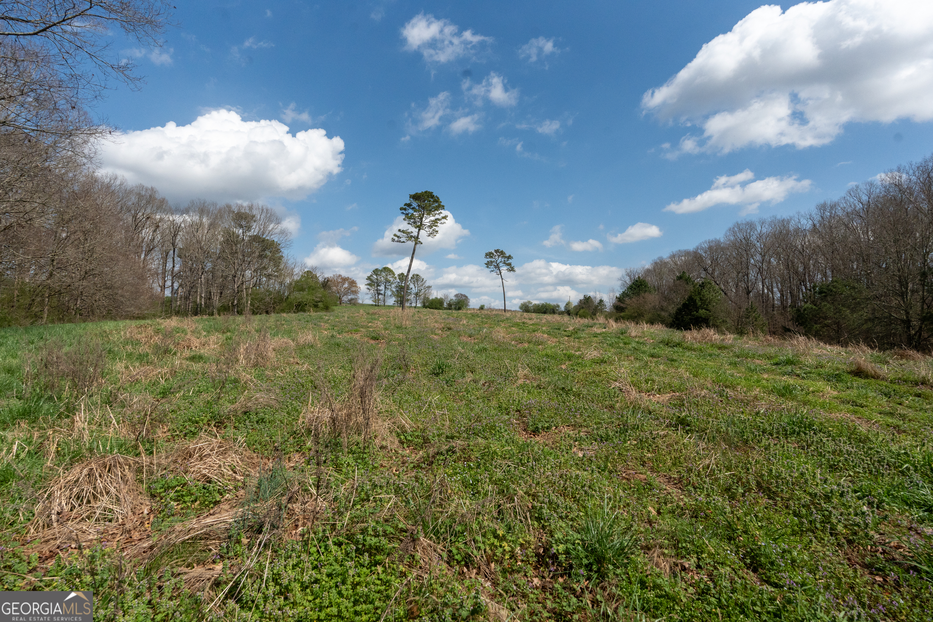 13 West L Williams Commerce, GA 30530 - Photo 24 of 44