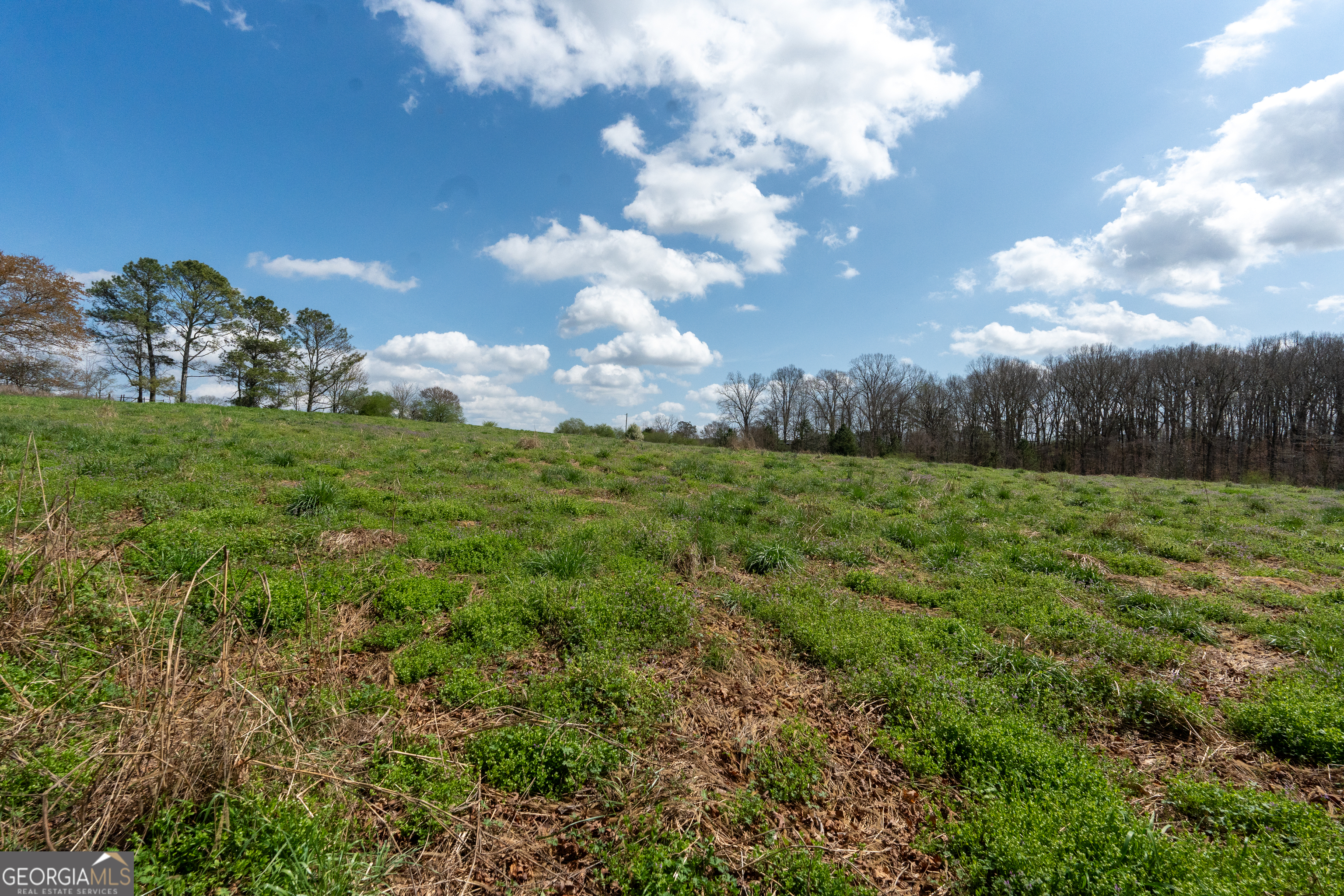 13 West L Williams Commerce, GA 30530 - Photo 3 of 44