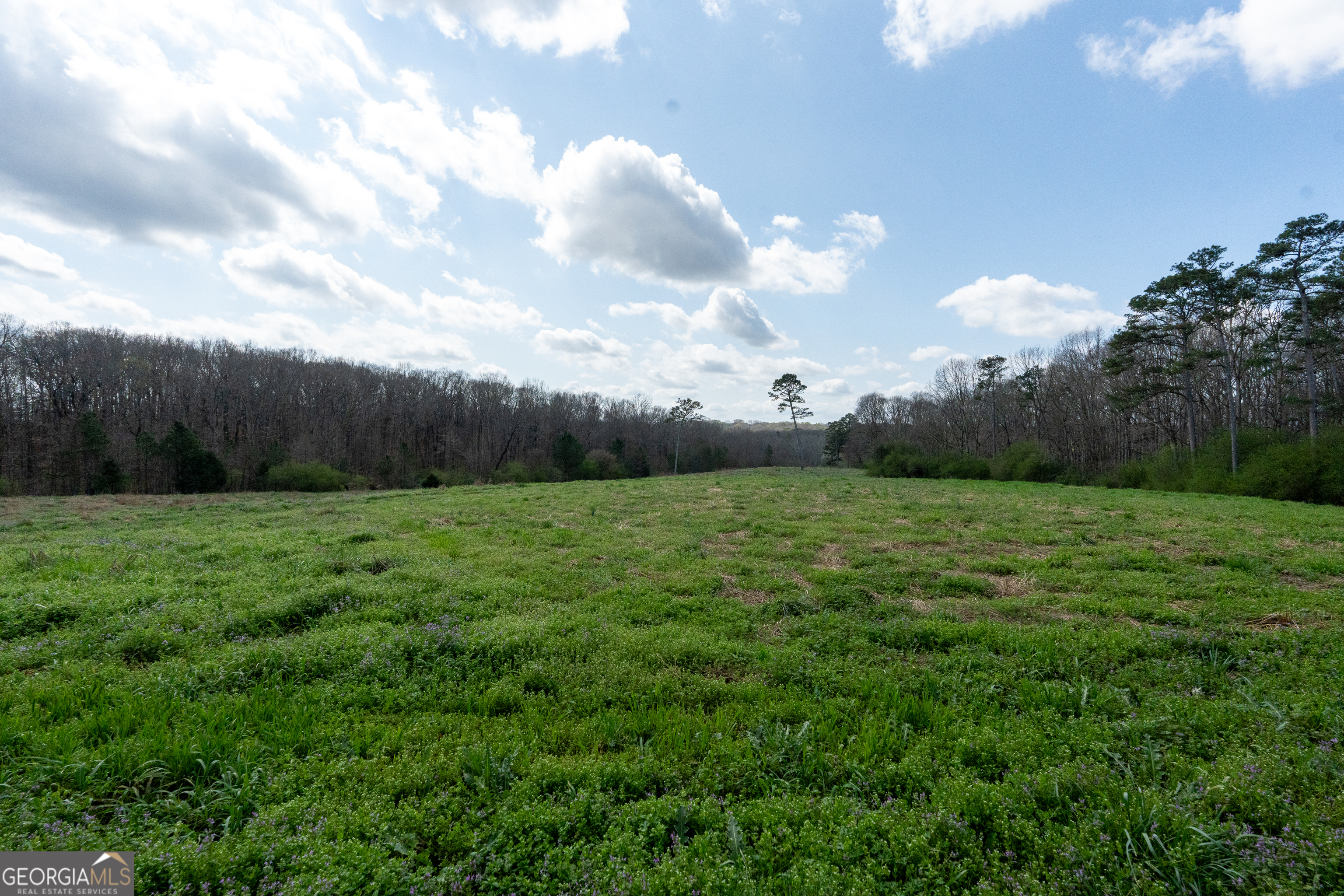 13 West L Williams Commerce, GA 30530 - Photo 33 of 44