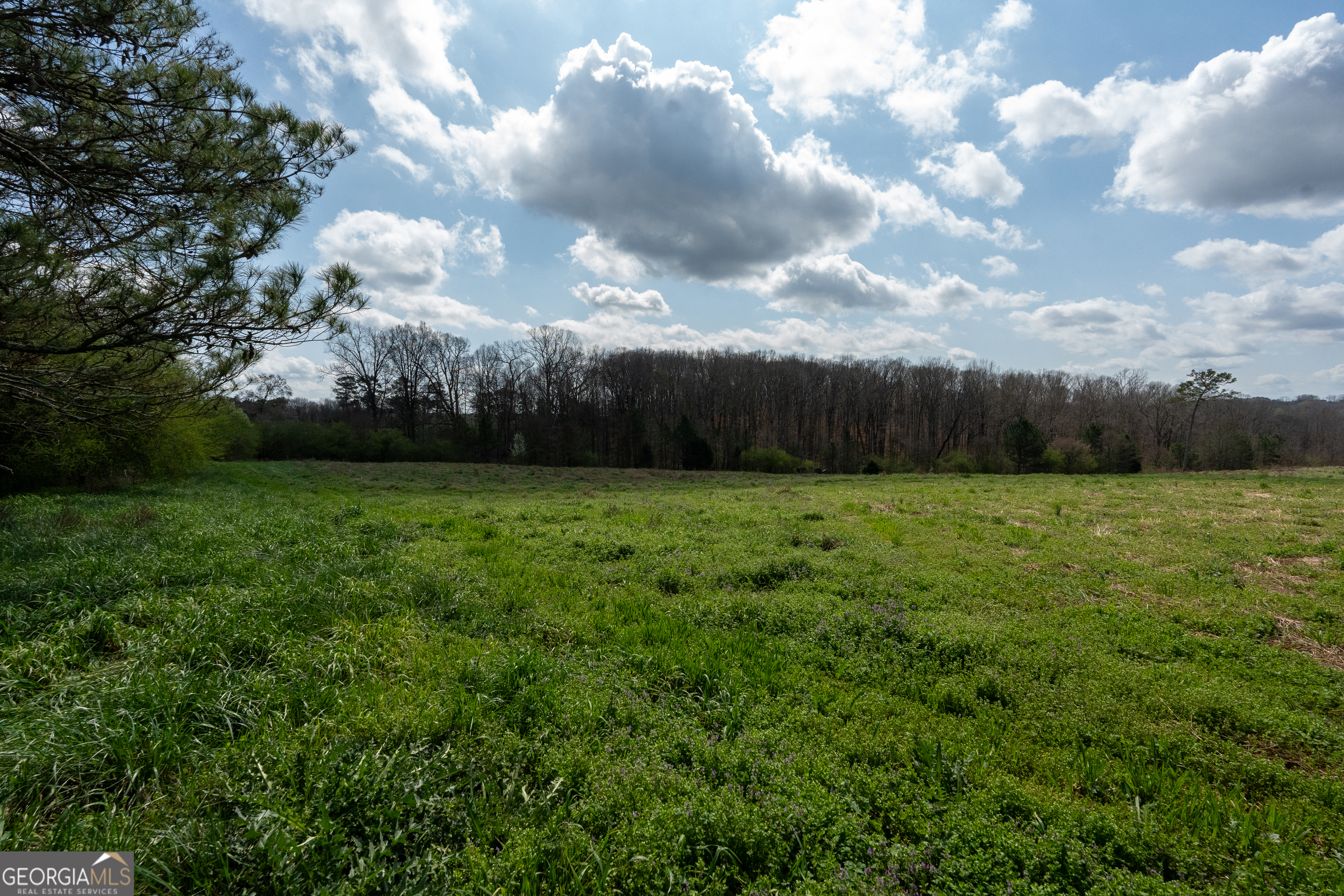 13 West L Williams Commerce, GA 30530 - Photo 34 of 44