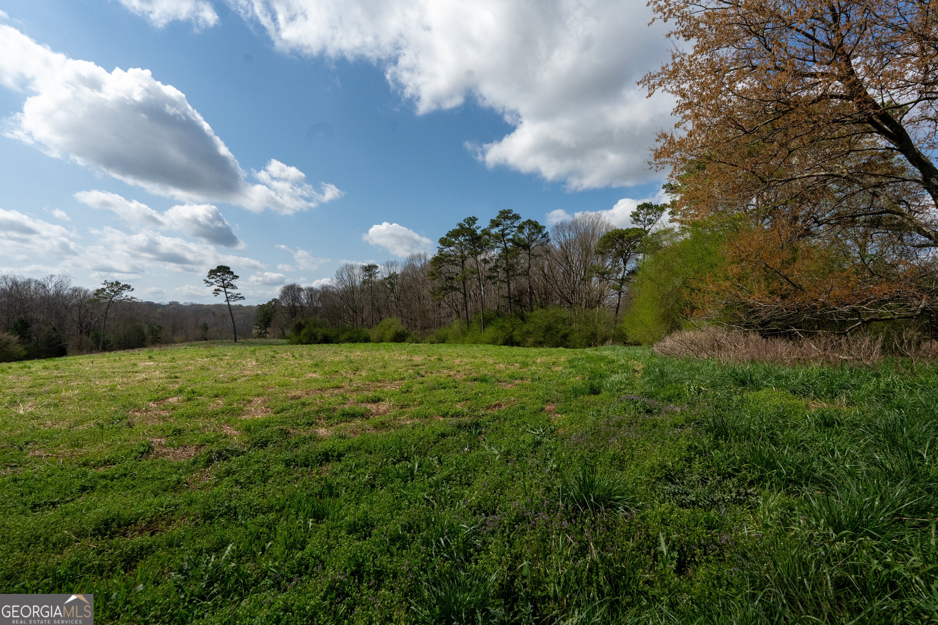 13 West L Williams Commerce, GA 30530 - Photo 4 of 44