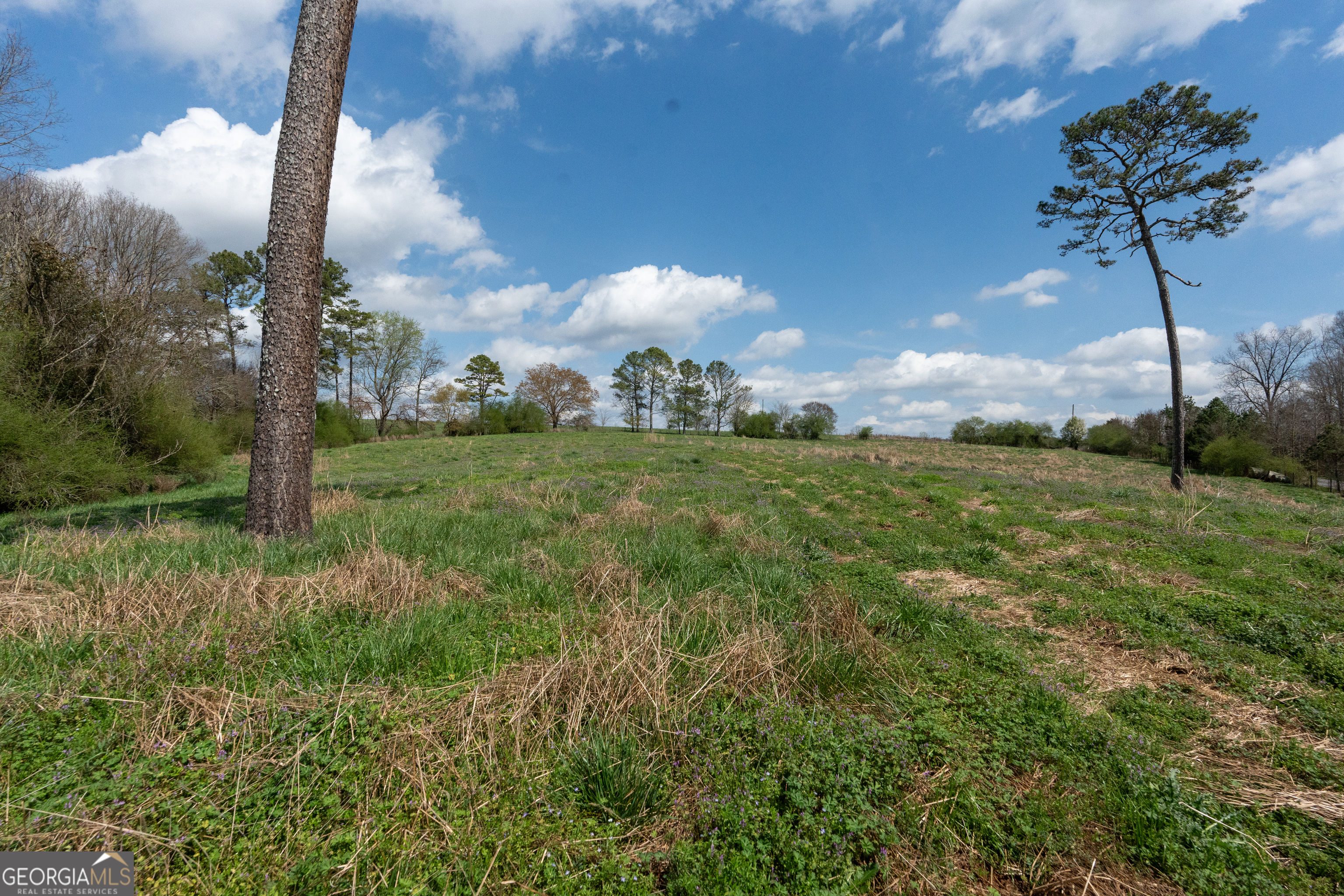 13 West L Williams Commerce, GA 30530 - Photo 6 of 44