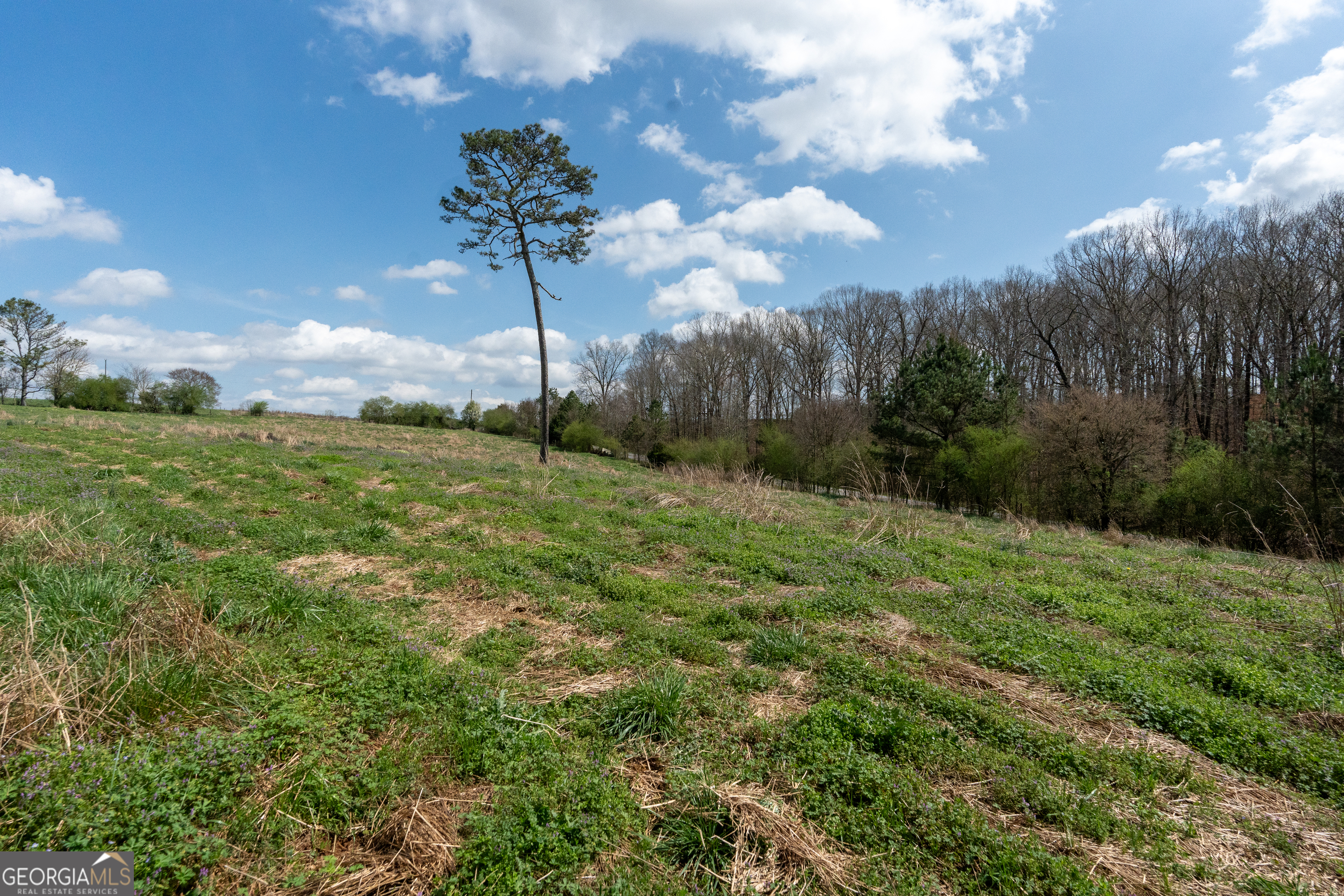 13 West L Williams Commerce, GA 30530 - Photo 7 of 44