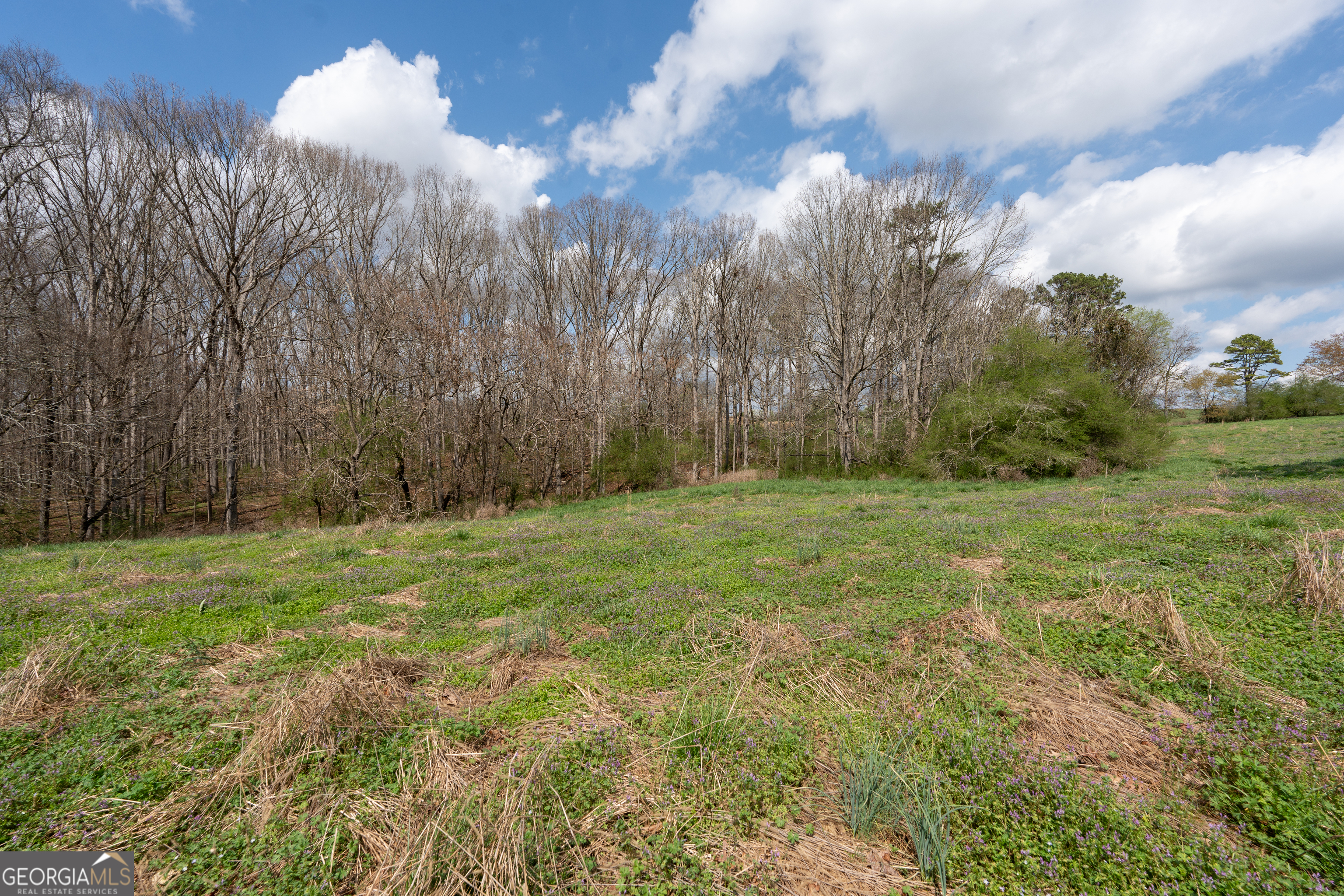 13 West L Williams Commerce, GA 30530 - Photo 8 of 44