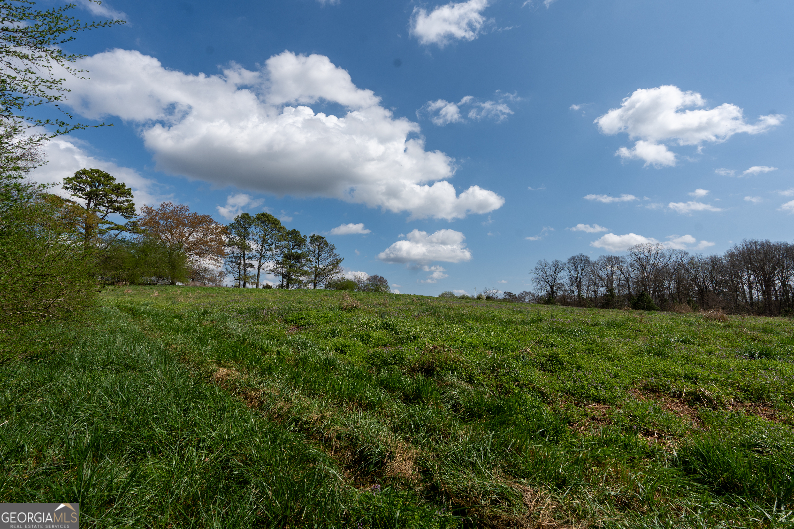 13 West L Williams Commerce, GA 30530 - Photo 9 of 44
