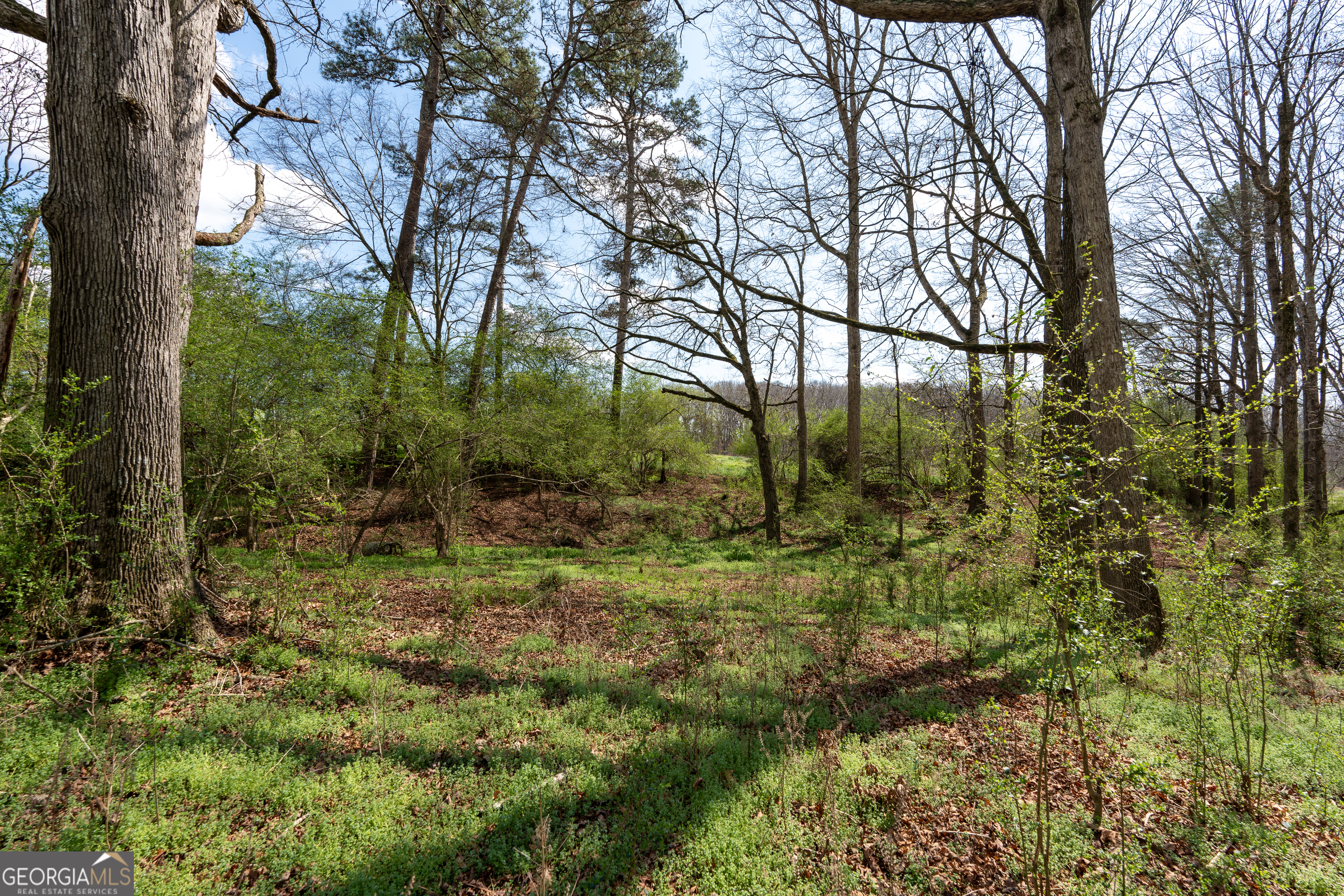 13 West L Williams Commerce, GA 30530 - Photo 10 of 44
