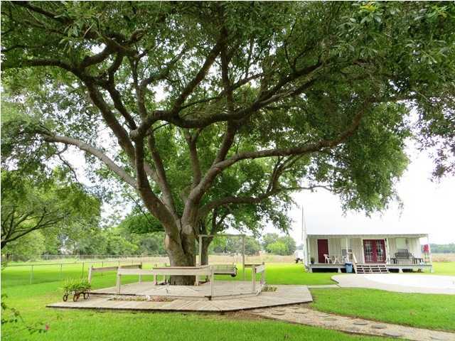 432 Almonaster Road Youngsville, LA 70592 - Photo 18 of 30 Additional Photo