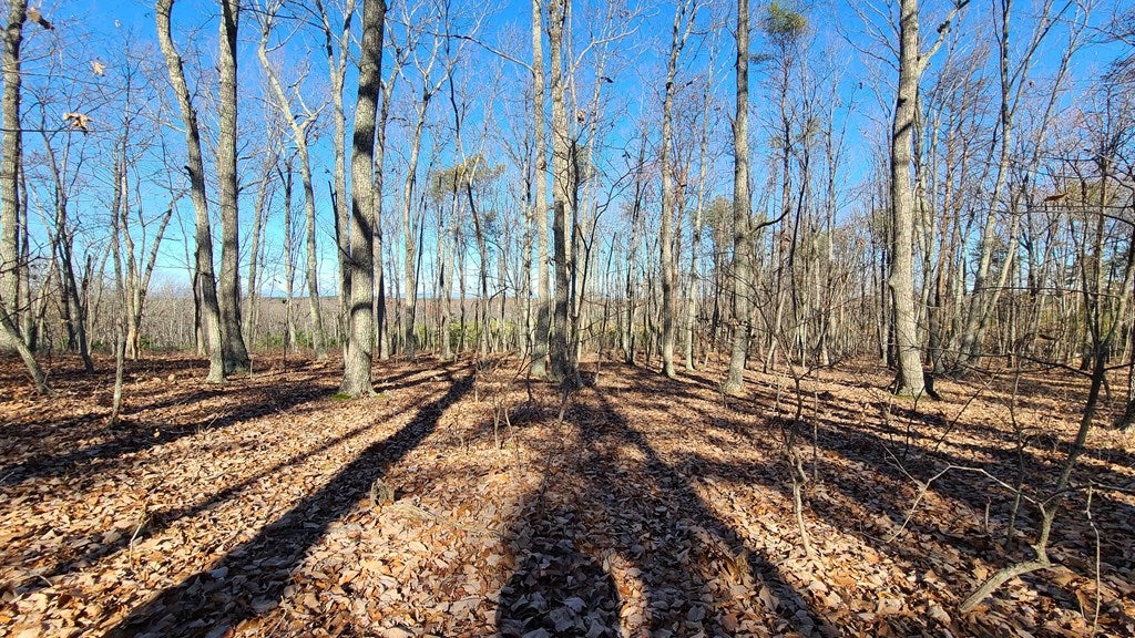 2 Rocky Mount Road Dillwyn, VA 23936 - Photo 3 of 19 Gallery Image 3