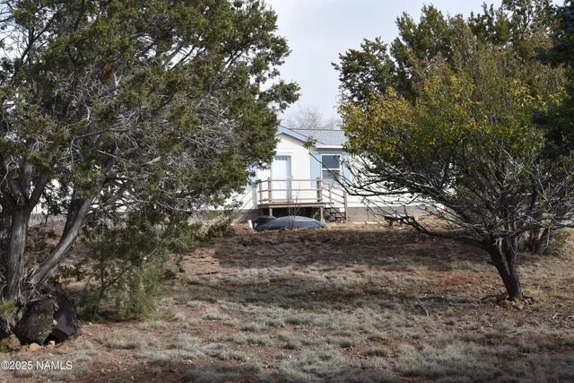a big yard with large trees